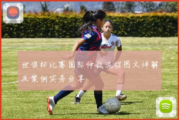世俱杯比赛国际仲裁流程图文详解及案例实务分享