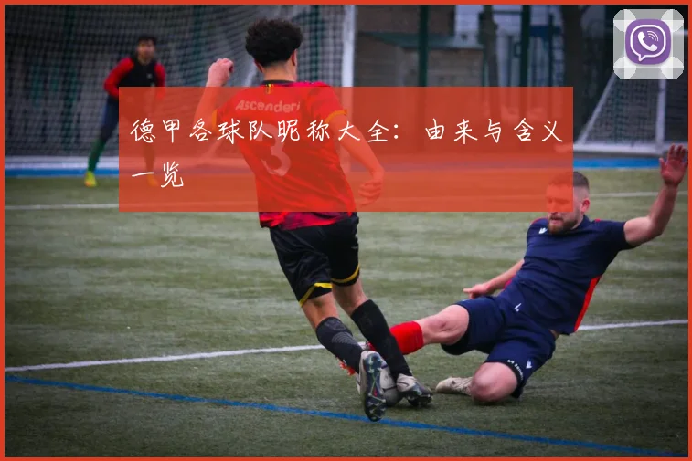 德甲各球队昵称大全：由来与含义一览