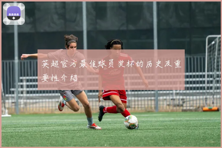 英超官方最佳球员奖杯的历史及重要性介绍