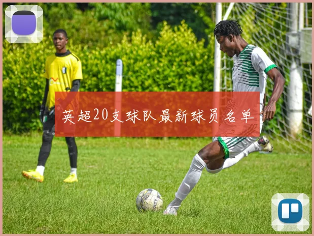 英超20支球队最新球员名单