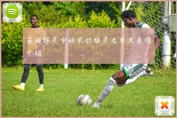 英超球员中姓宋的球员名单及表现介绍