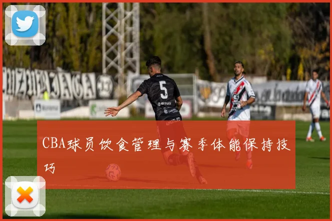 CBA球员饮食管理与赛季体能保持技巧