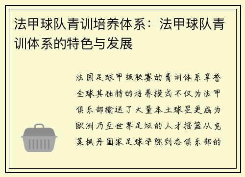 法甲球队青训培养体系：法甲球队青训体系的特色与发展
