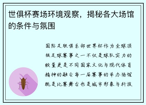 世俱杯赛场环境观察，揭秘各大场馆的条件与氛围