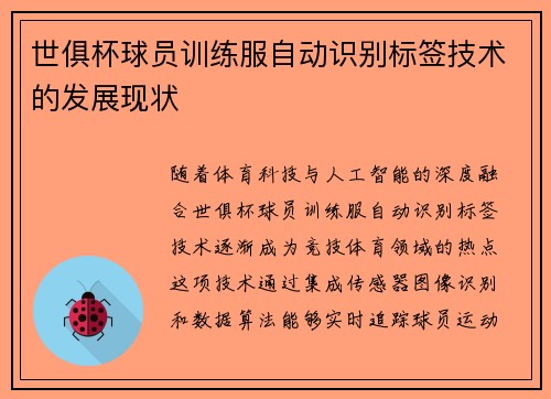 世俱杯球员训练服自动识别标签技术的发展现状